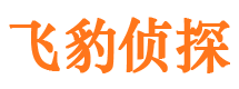 神池飞豹私家侦探公司